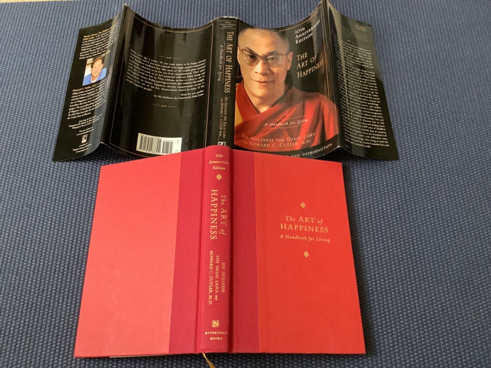 The Art of Happiness Dalai Lama Hypothesis Jonathan Haidt Happy Psychology Books