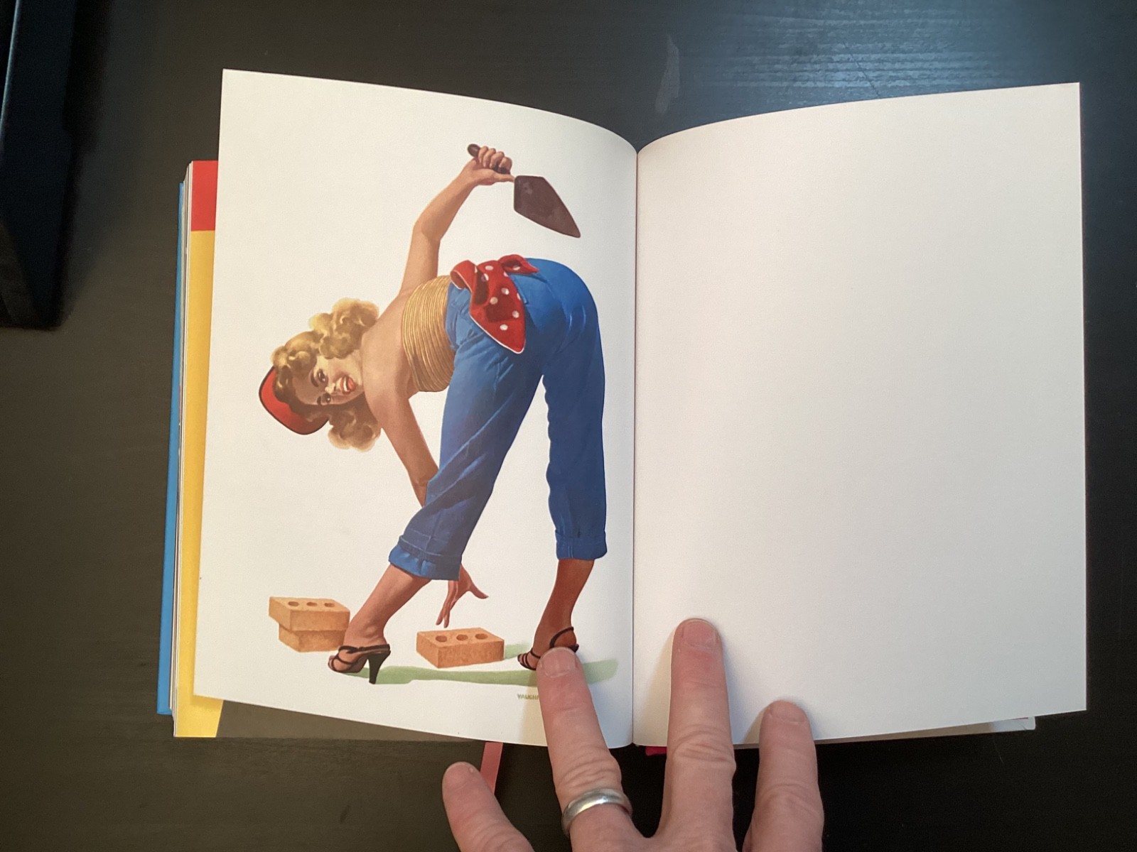 365 Day-by-Day Pin-Up Dian Hanson (2012, Hardcover Taschen)