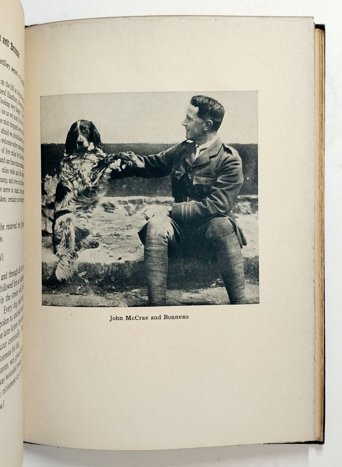 In Flanders Fields And Other Poems by John McCrae HC 1st American Edition 1919