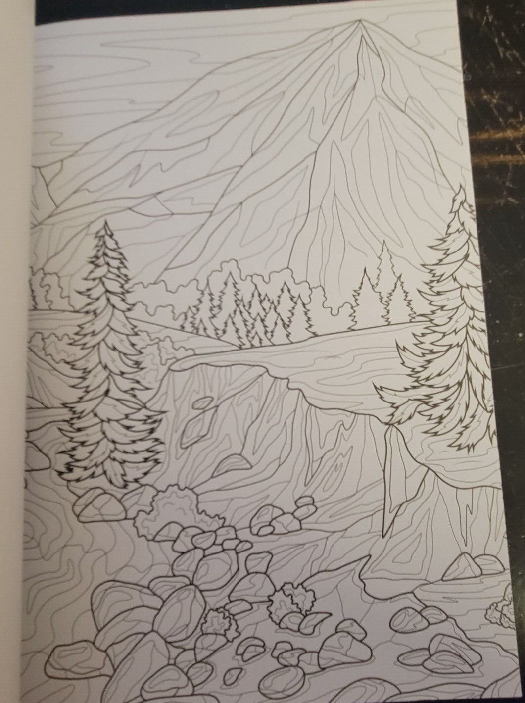 COLORS OF THE WILD Vol 22 Adult Coloring Book With 47 Prints Ready To Frame