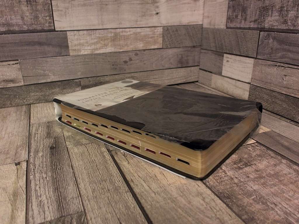 HCSB Hand Size Giant Print Reference Bible, Black Simulated Leather Indexed by