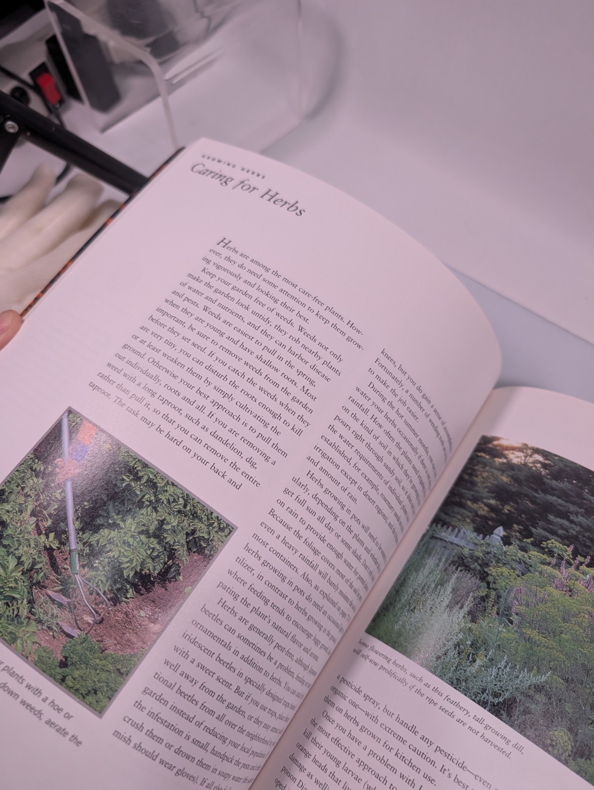 Better Homes and Gardens step by step HERBS Book 132 pages Illustrated