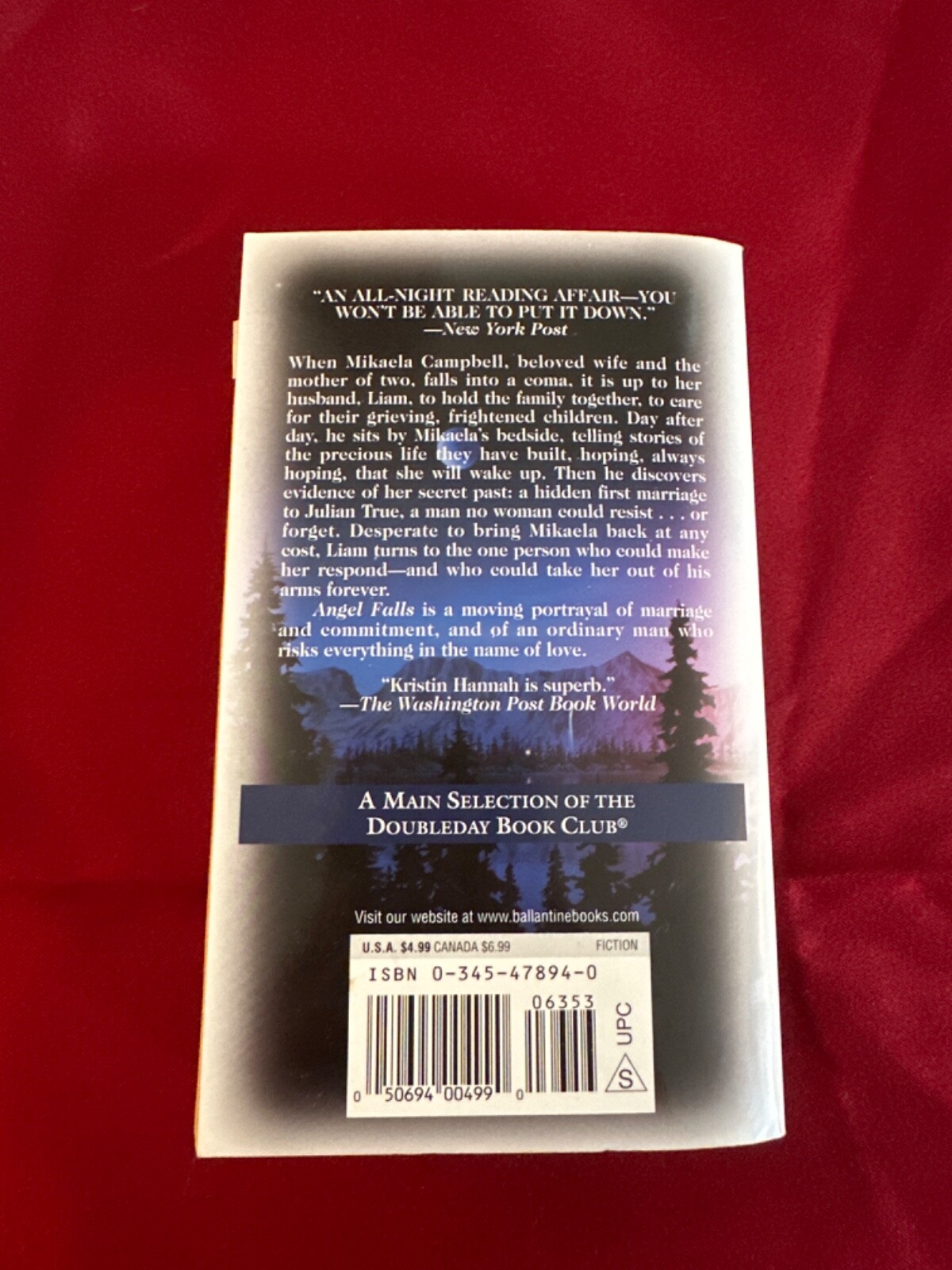 Angel Falls : A Novel by Kristin Hannah (2004, Mass Market)