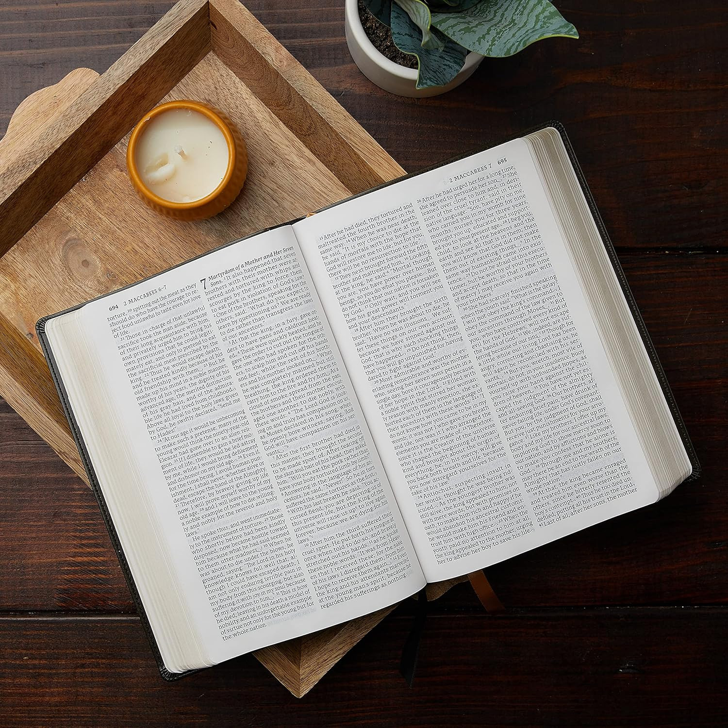 NABRE, New American Bible, Revised Edition, Catholic Bible, Large Print Edition,