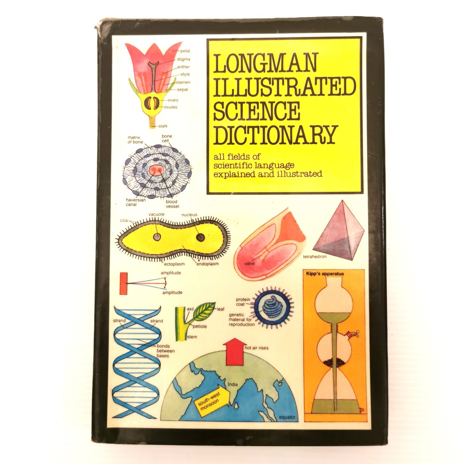 Longman Illustrated Science Dictionary