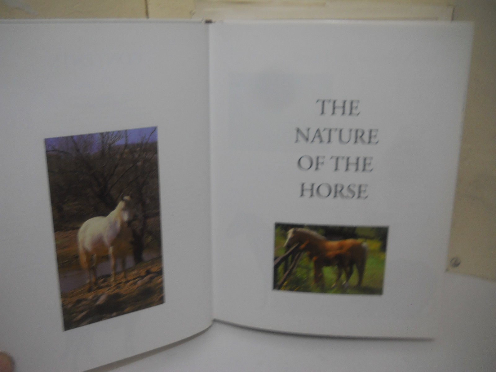 Horse Facts by Susan McBane & Helen Dougla-Cooper ~ Fine HCDJ ~ Ships Boxed