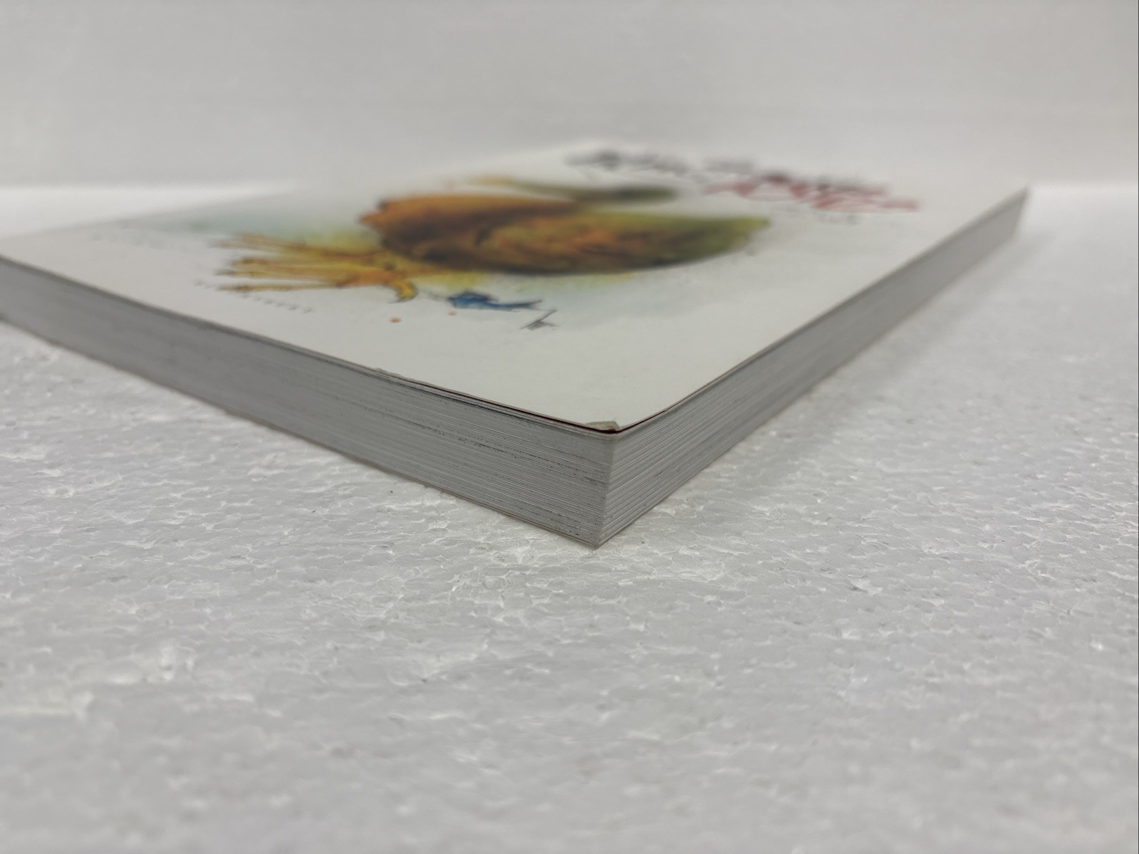 Extinct Boids by Ceri Levy and Ralph Steadman, 2020, First Printing