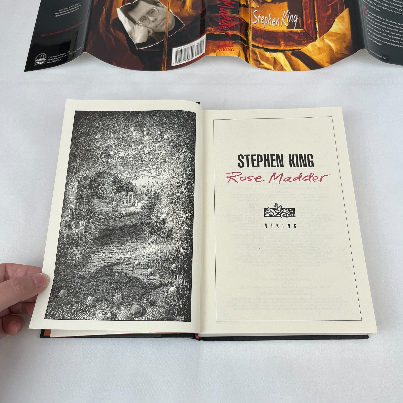 Stephen King Rose Madder 1995 1st Edition 1st Printing Viking Hardcover DJ