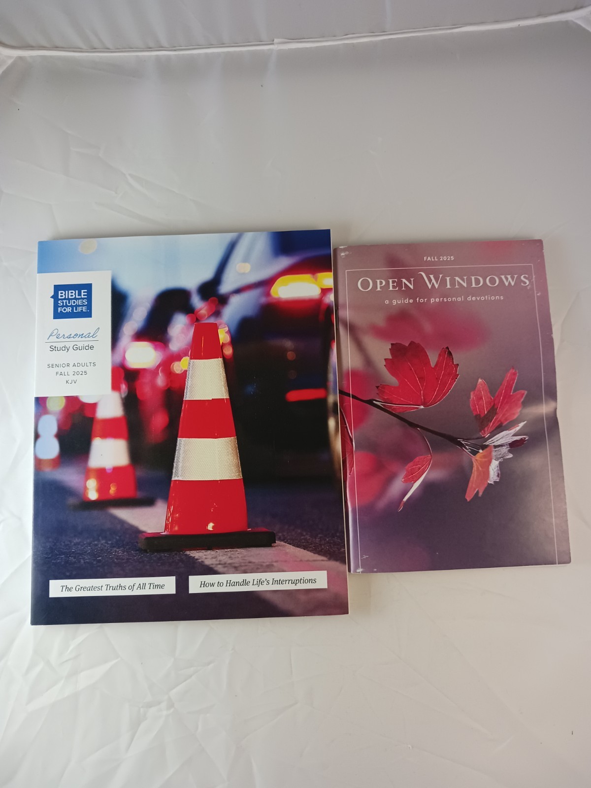 Open Windows Devotions Fall 2025 & Bible Studies For Life Study Guide, 2 Books
