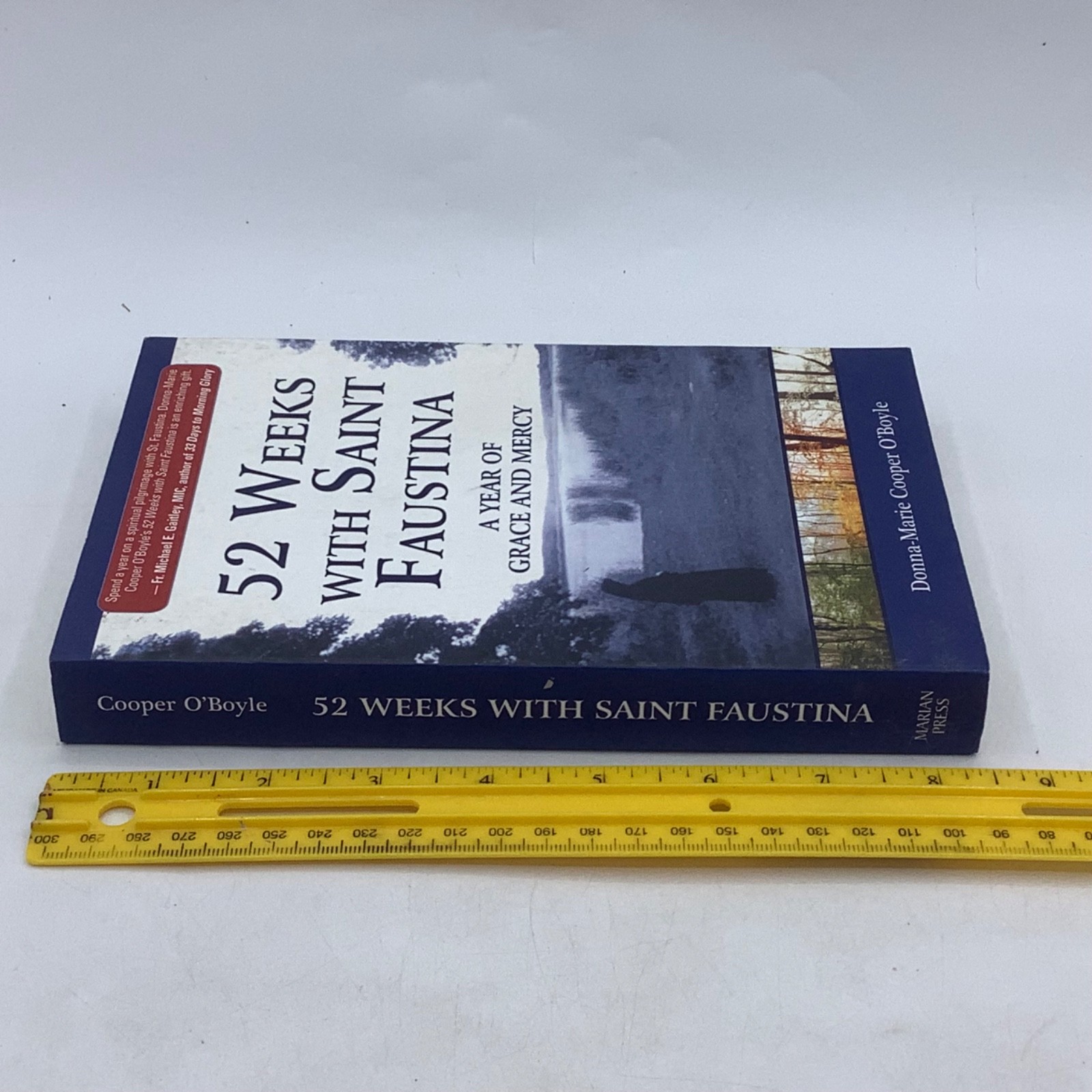 52 Weeks with Saint Faustina A Year of Grace and Mercy by Donna Marie O’Boyle PB