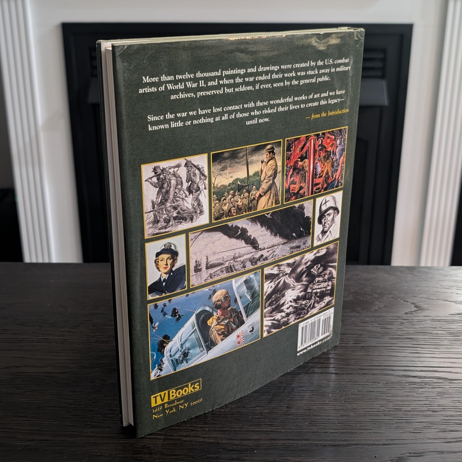 They Drew Fire: Combat Artists of World War II [Bulk Shipping Available]
