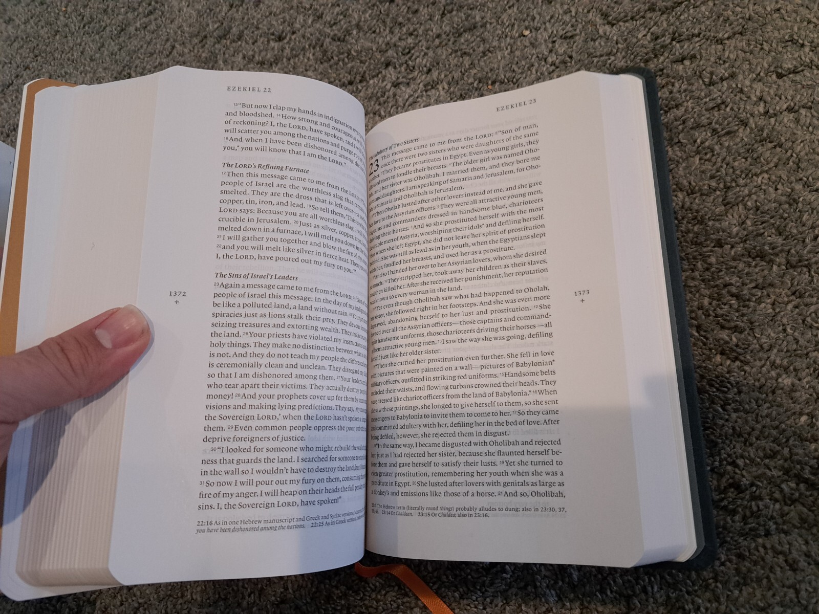 Holy Bible Filament Edition New Living Translation NLT