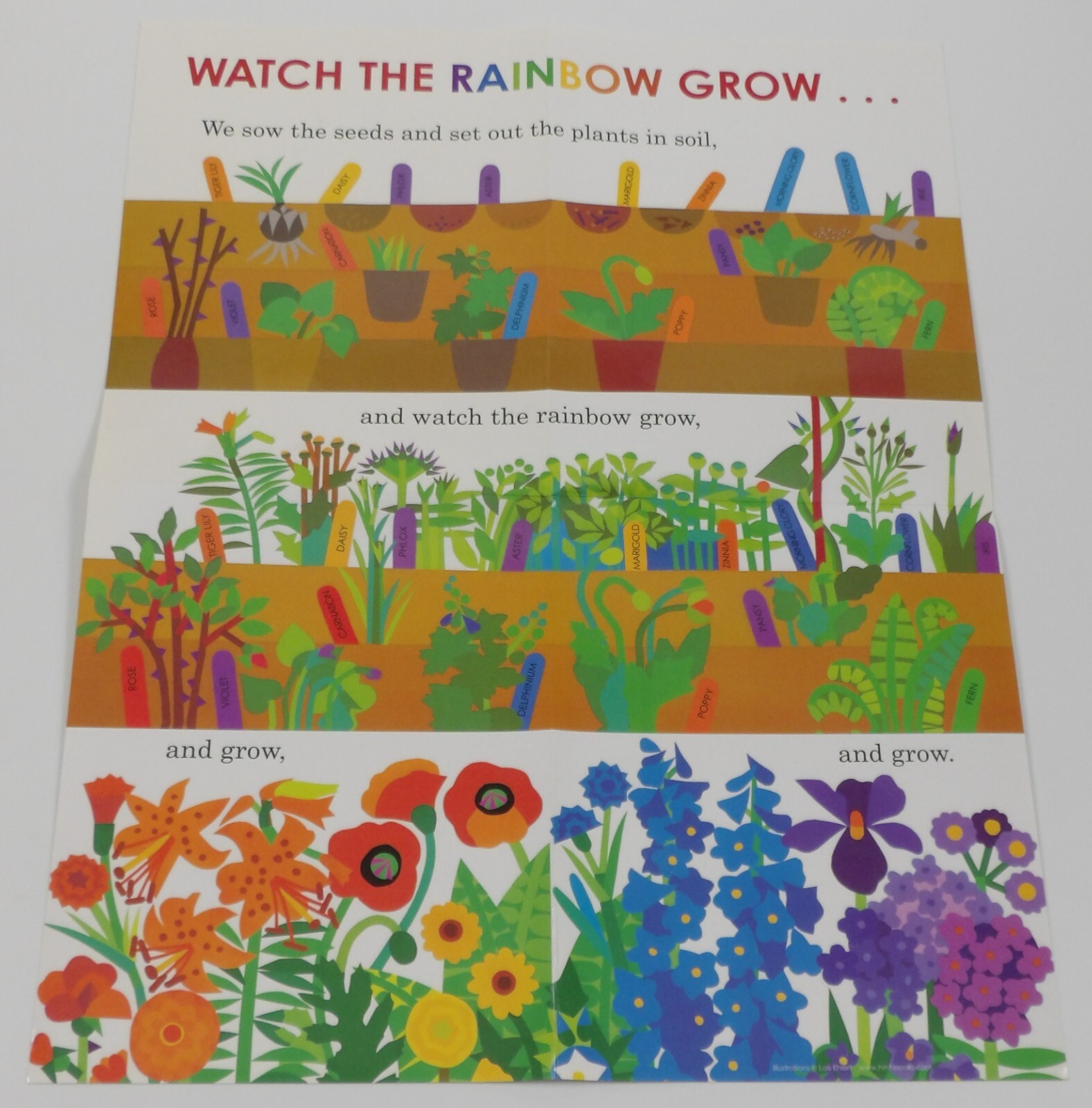Lois Ehlert’s Growing Garden: Three Books About Our Beautiful World HC slipcase