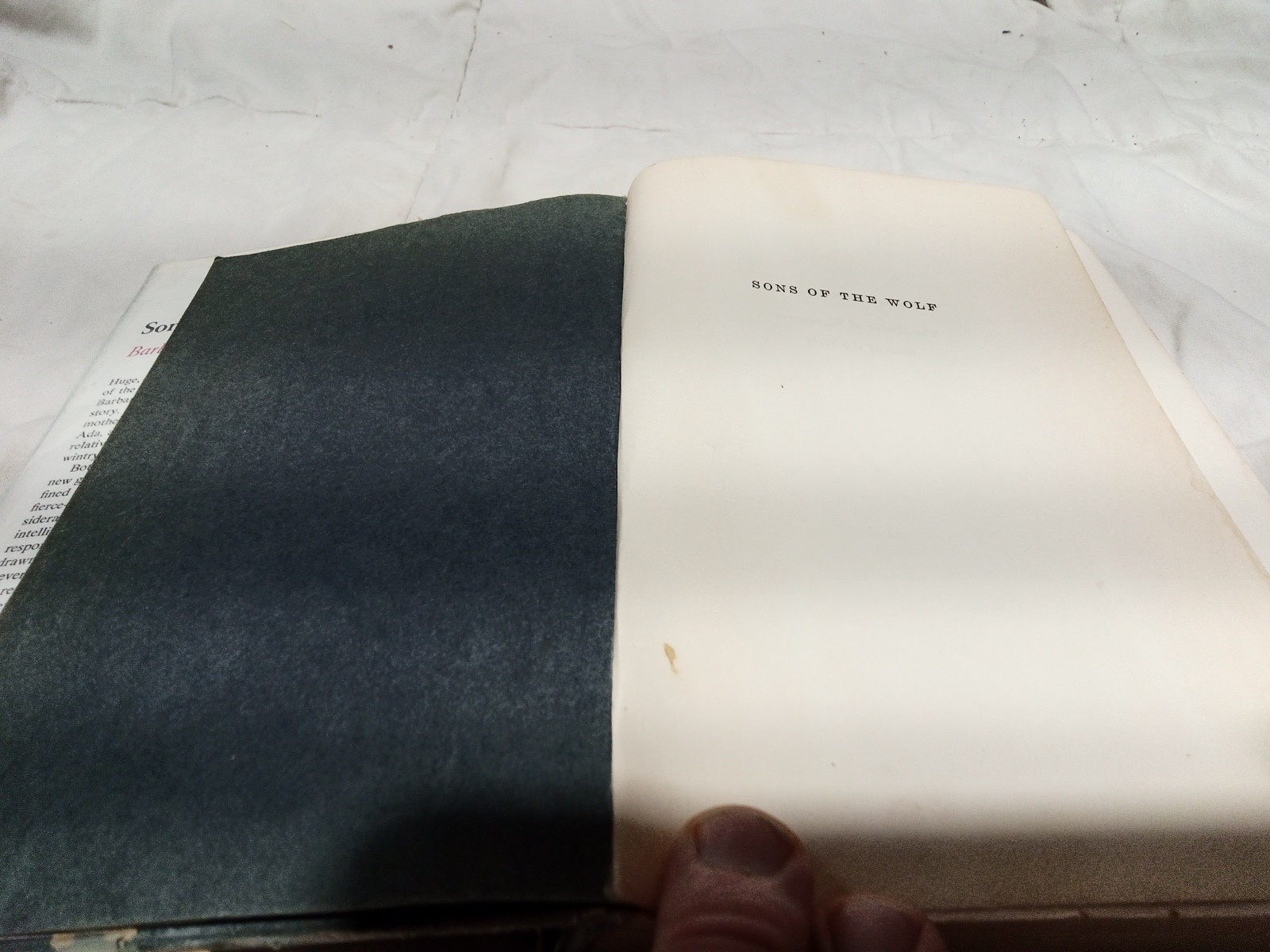 Sons of the Wolf by Barbara Michaels First Edition HC w DJ 1st Printing