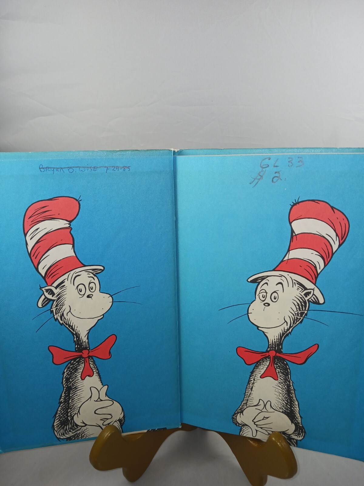 The Cat In the Hat By Dr. Suess