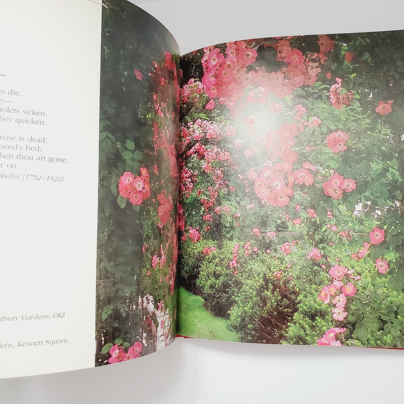 The Romantic Rose Hardcover Book Gift Flowers Gardening Plants