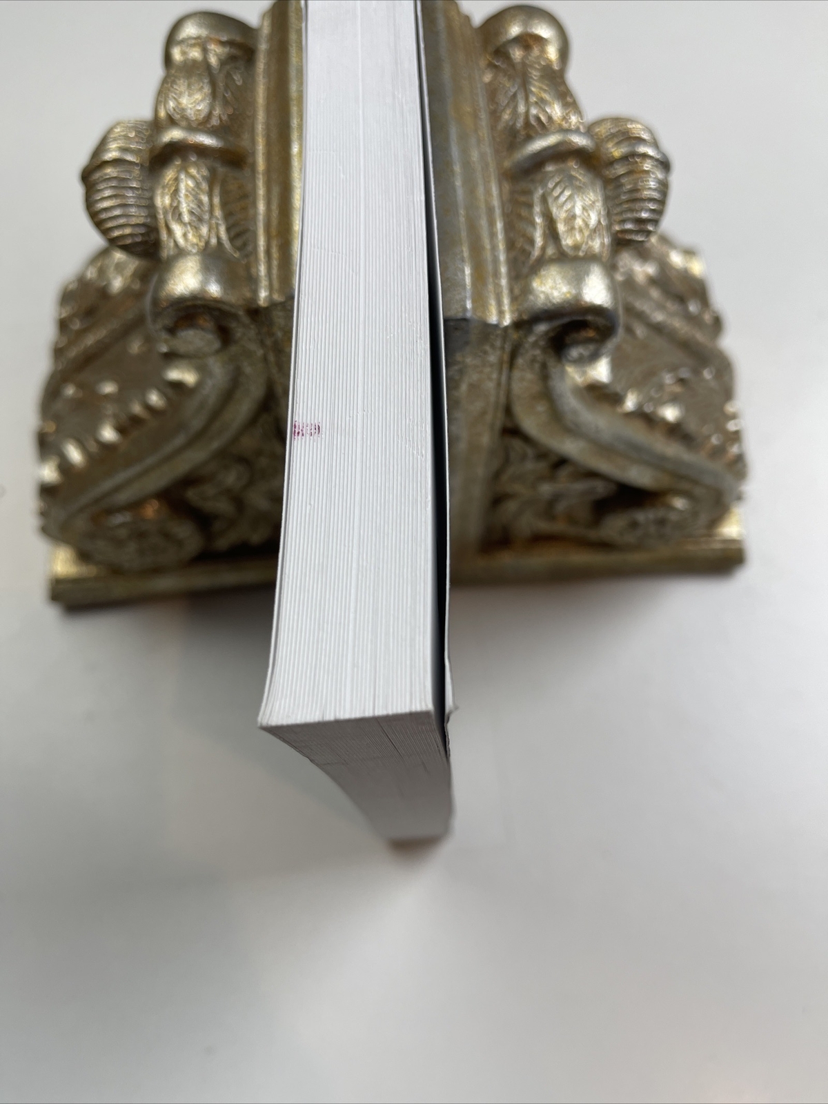 You Can’t Do That! Yes I Can! Paperback Michael, Sr. Attardi