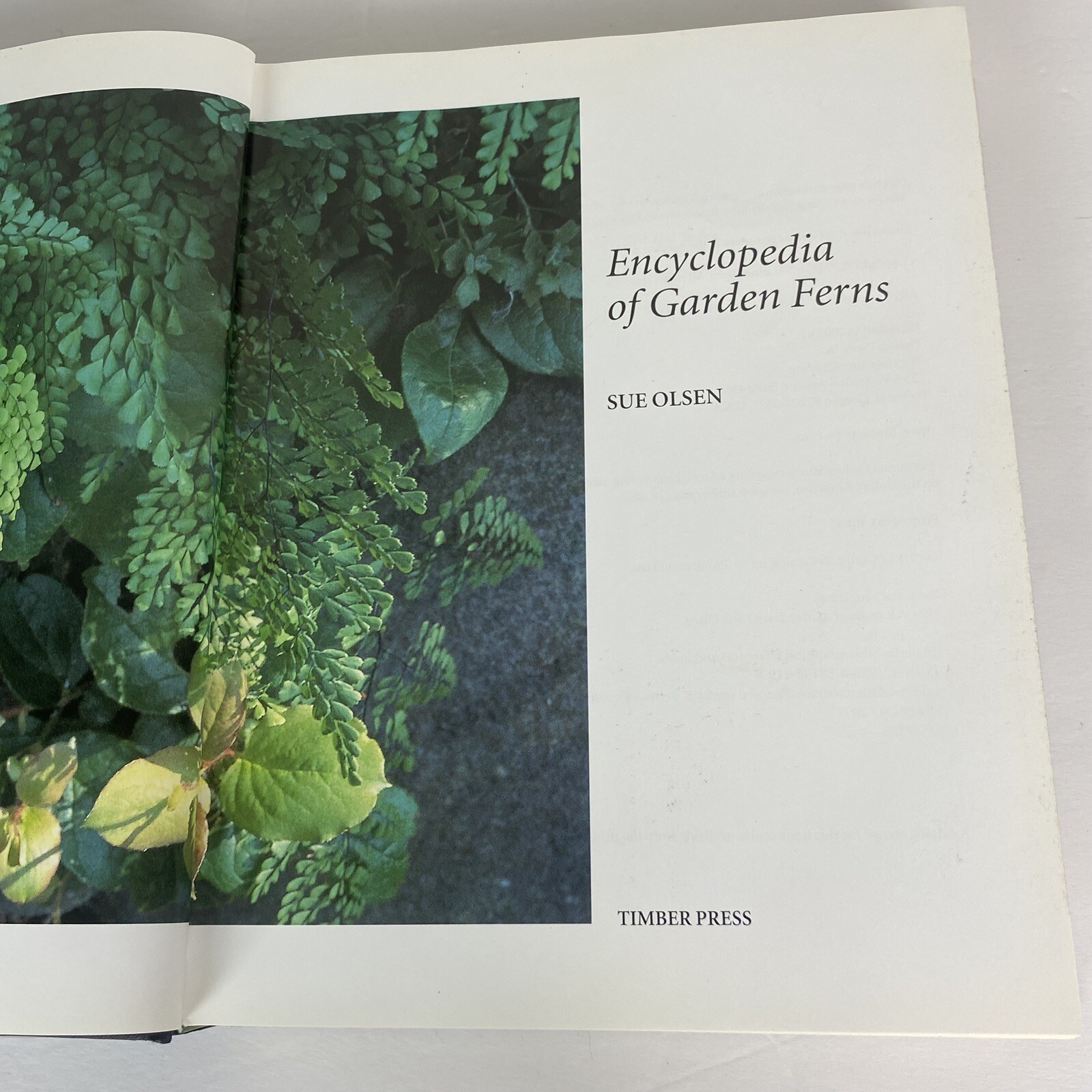 Garden Ferns Unlocked: Sue Olsens Ultimate Visual Guide to 950+ Stunning Ferns