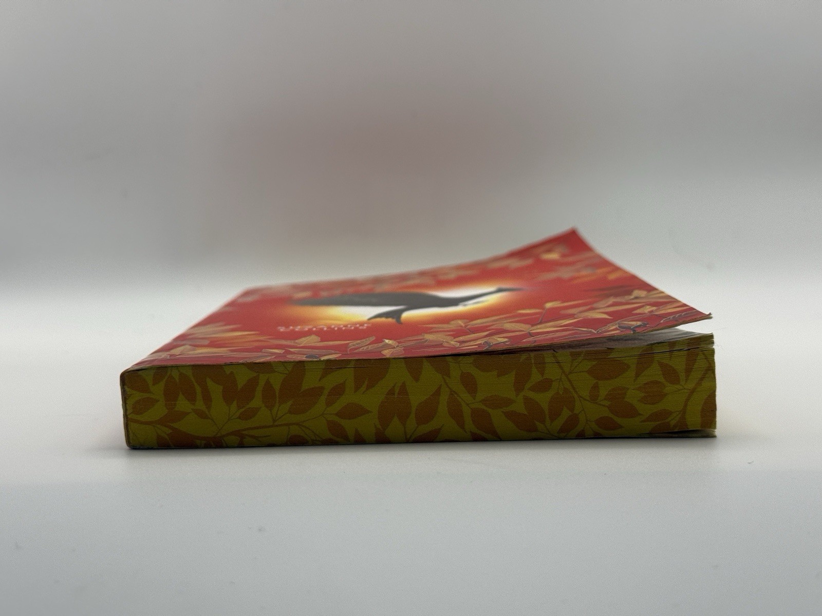 New Catching Fire The Hunger Games Book Two by Suzanne Collins