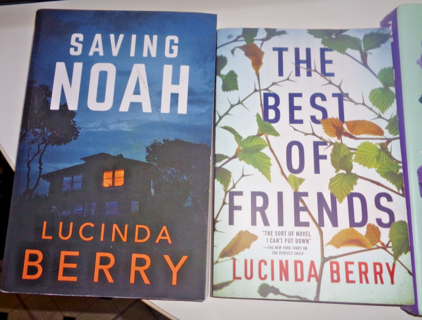 4 THRILLER Saving Noah, Best of Friends Lucinda Berry THE PUSH Hidden Pictures