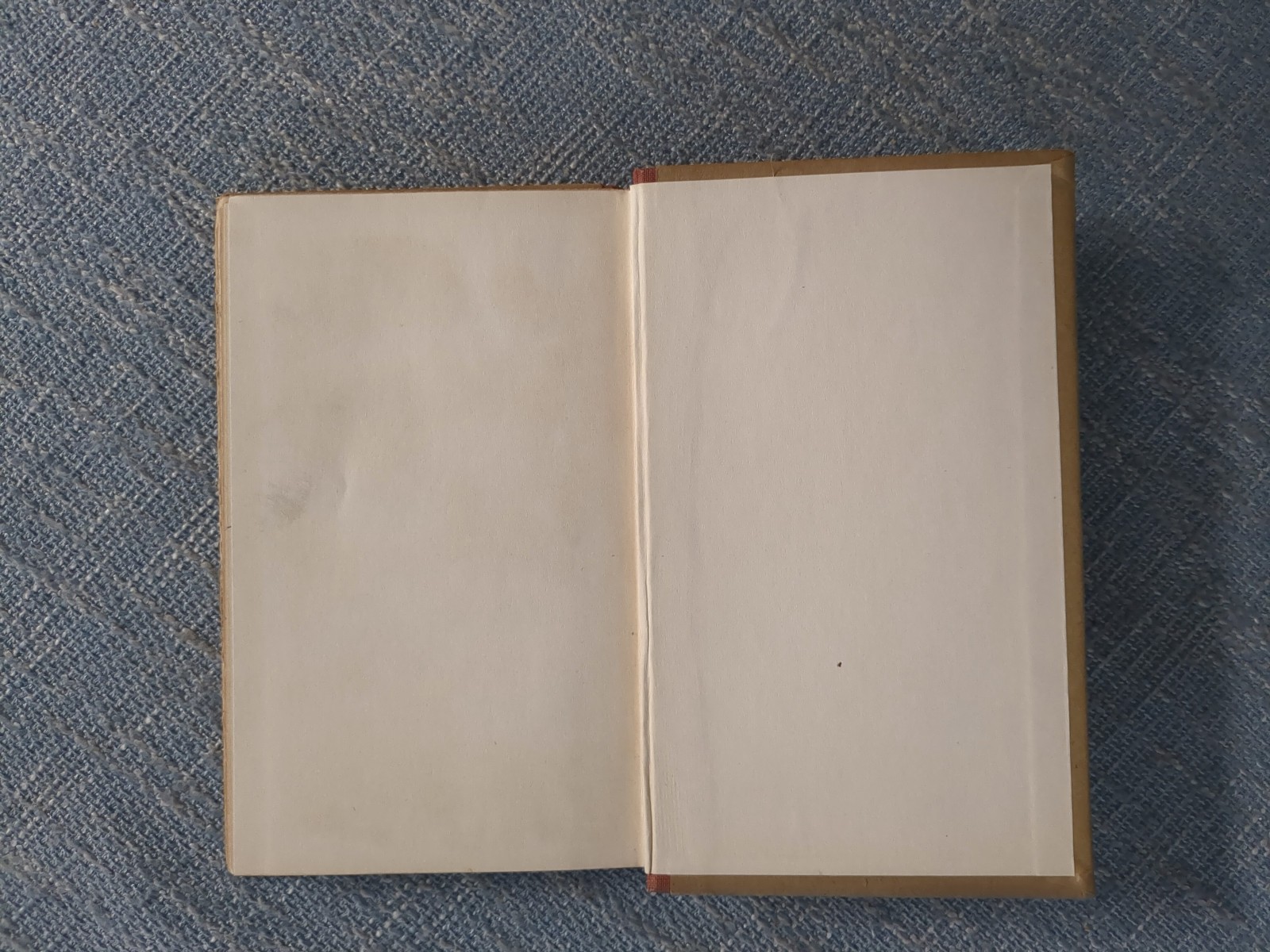 Pagan Prayers by Marah Ellis Ryan 1913 (First Edition, A.C. McClurg Pub)