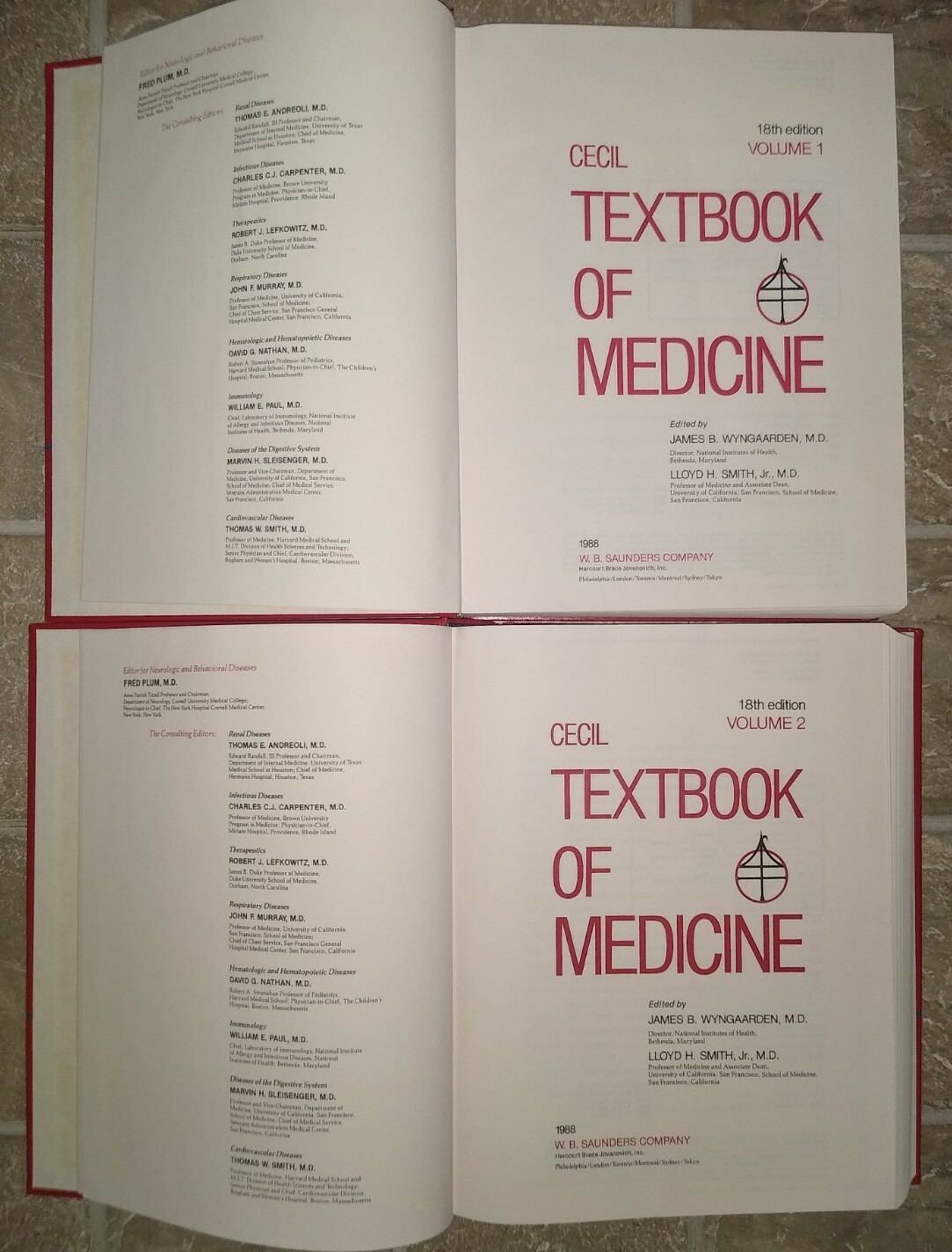 Set of 2 Vintage Cecil Textbook of Medicine Wyngaarden & Smith 18th Edition