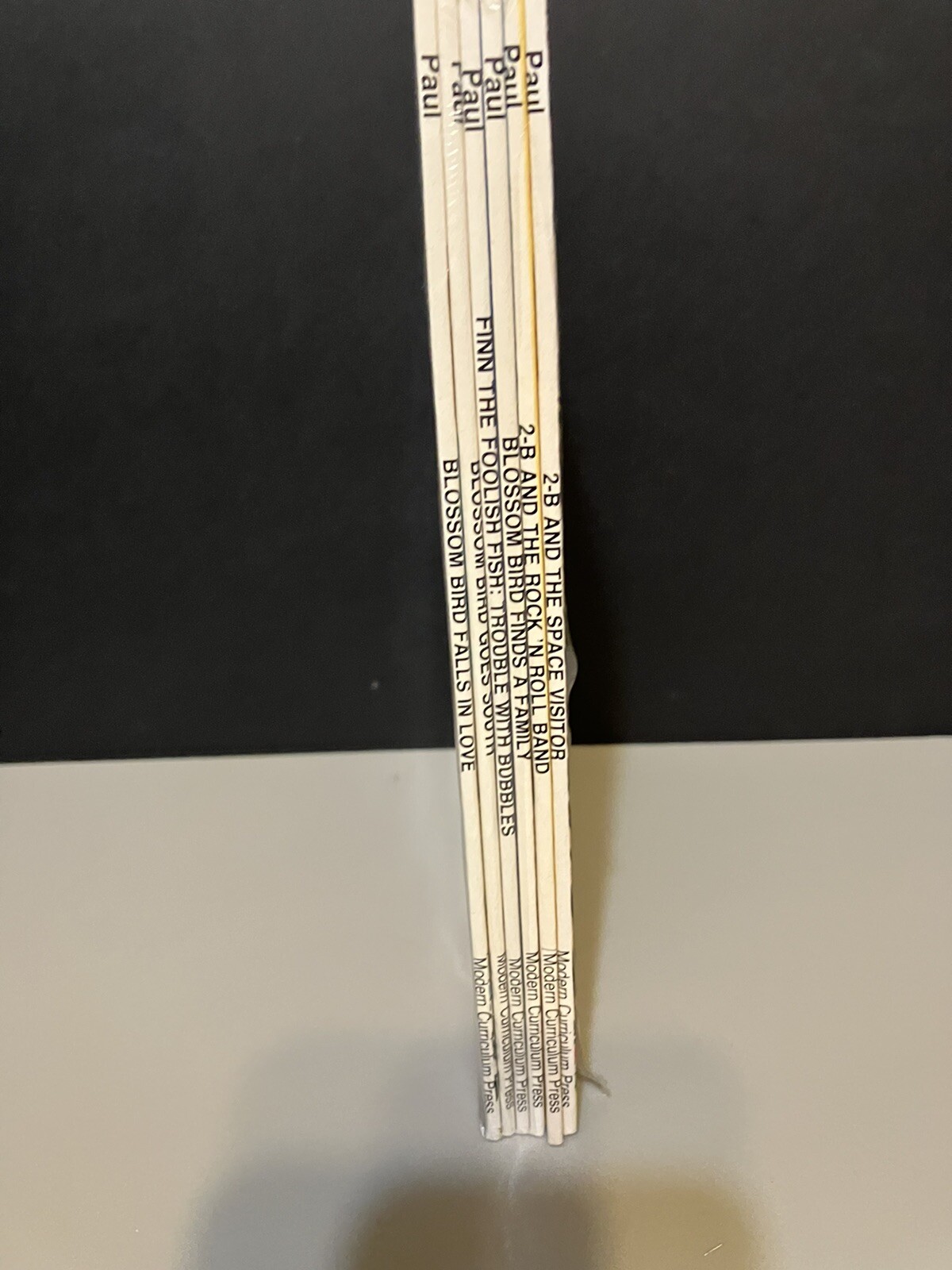 Lot of 6 Modern Curriculum Press “See How I Read” Books – SEALED