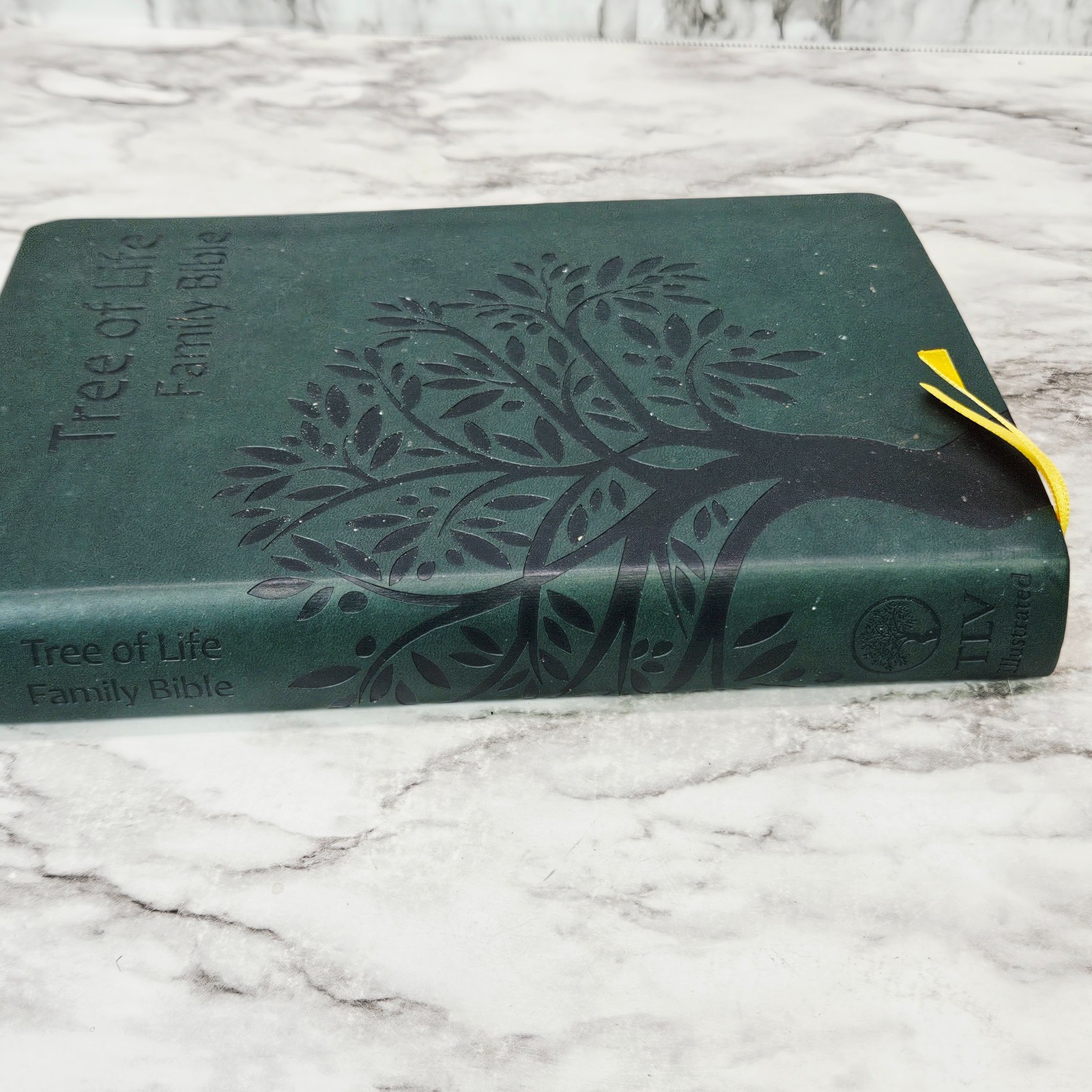Messianic Jewish Family Bible Tree of Life Version TLV Gold Gilt Dark Green Tabs