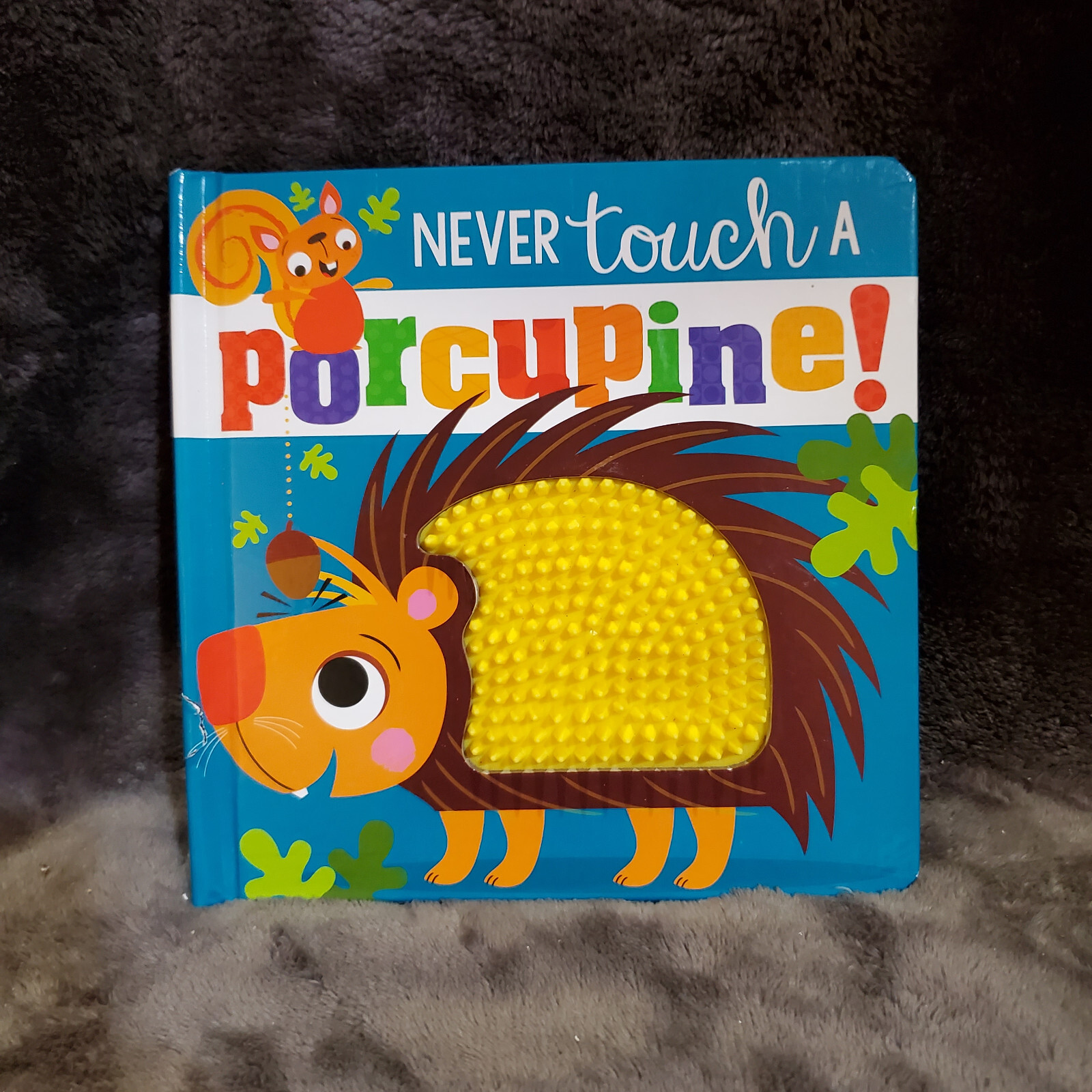 Never Touch a Porcupine! by Rosie Greening Hardcover