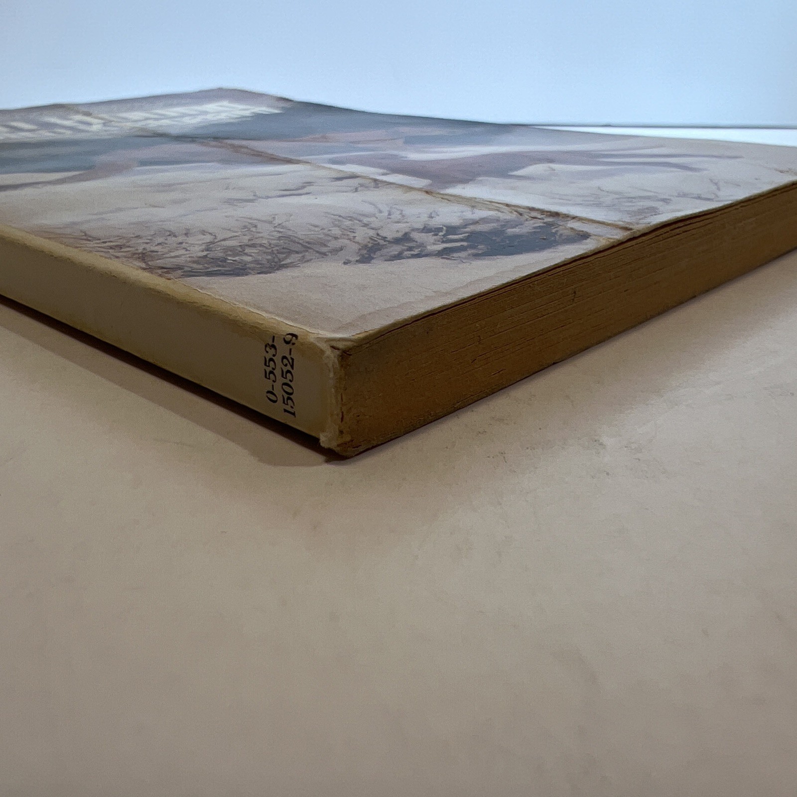 Lion Hound (1980 Softcover 5 1/4 x 7 1/2 inches, 131 pages. Bantam Skylark…