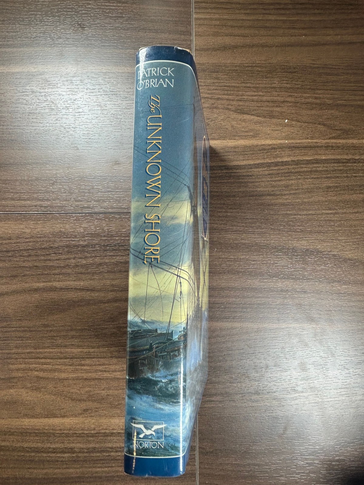 O’Brian THE UNKNOWN SHORE 1st American Edition 1st Printing 1995 Norton DJ