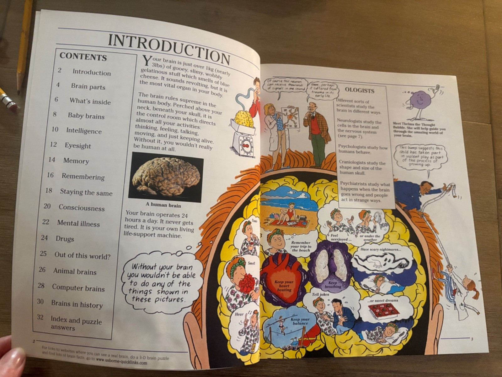 Usborne Understanding Your Brain – Internet Linked by Rebecca Treays