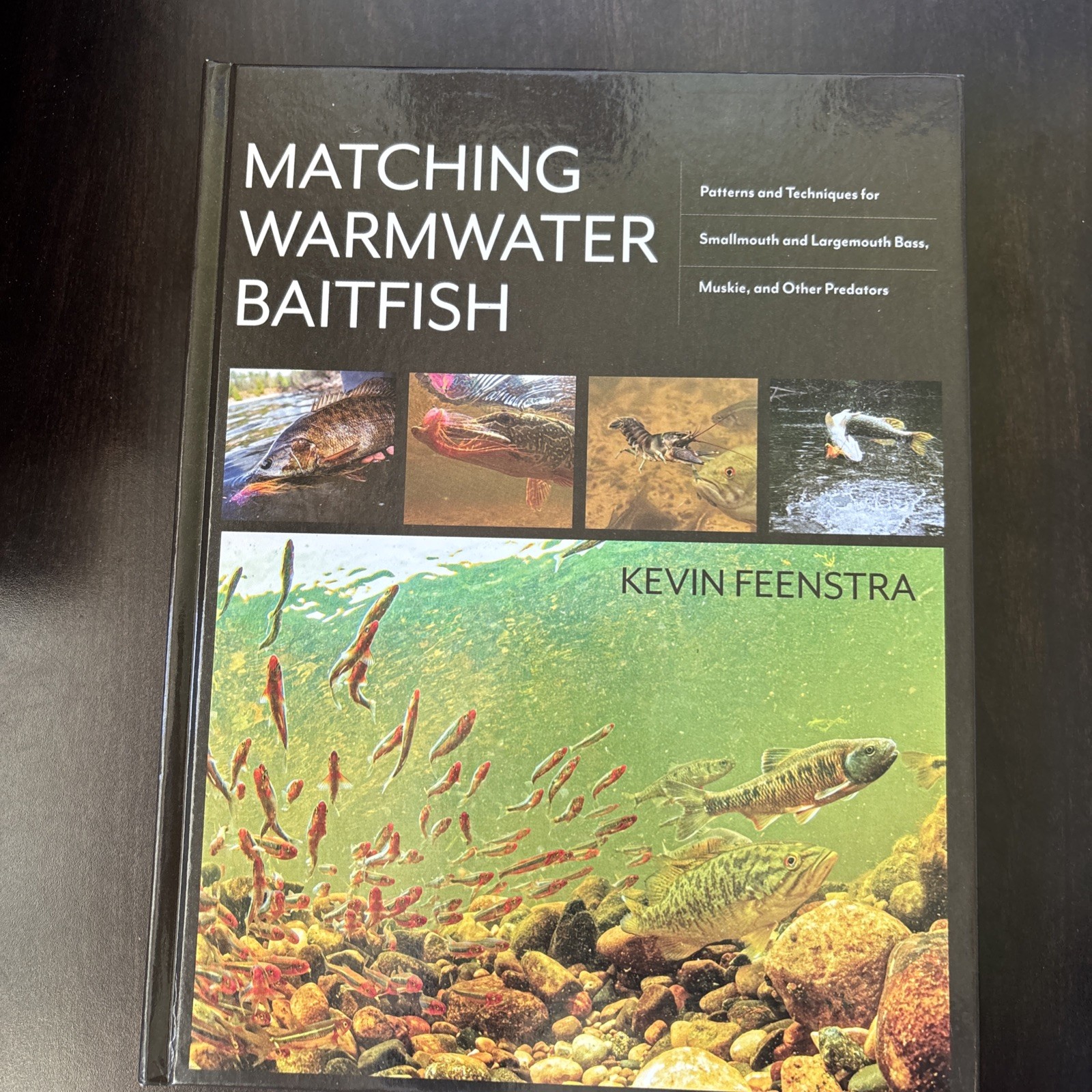 ‘Matching Warmwater Baitfish’ by Kevin Feenstra
