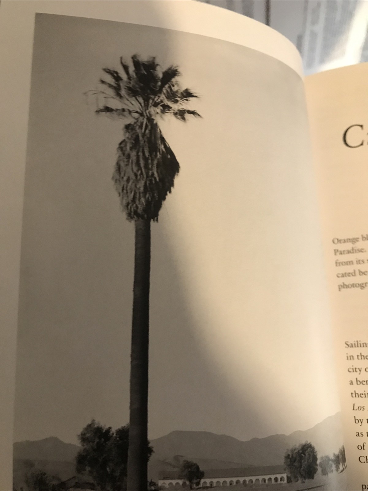 LOS ANGELES (PORTRAIT OF A CITY) By Jim Heimann *Excellent Condition*