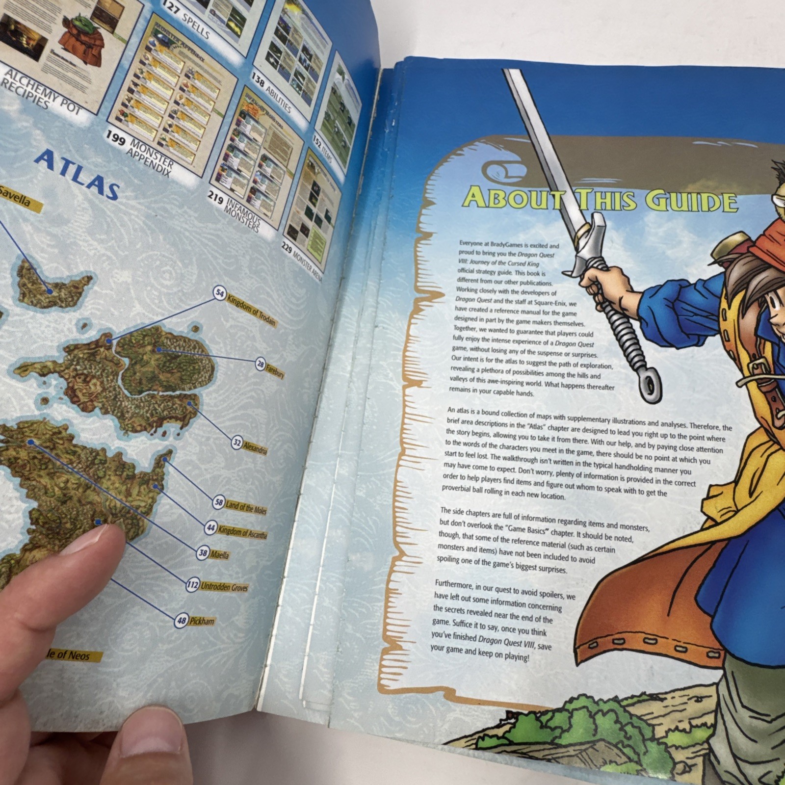 Dragon Quest VIII Journey of the Cursed King Strategy Guide w/ Exclusive Foldout