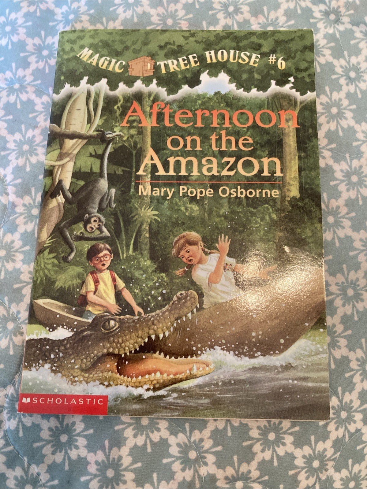 Afternoon on the Amazon by Osborne, Mary Pope