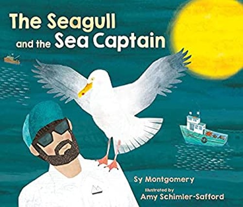 The Seagull and the Sea Captain Hardcover Sy Montgomery