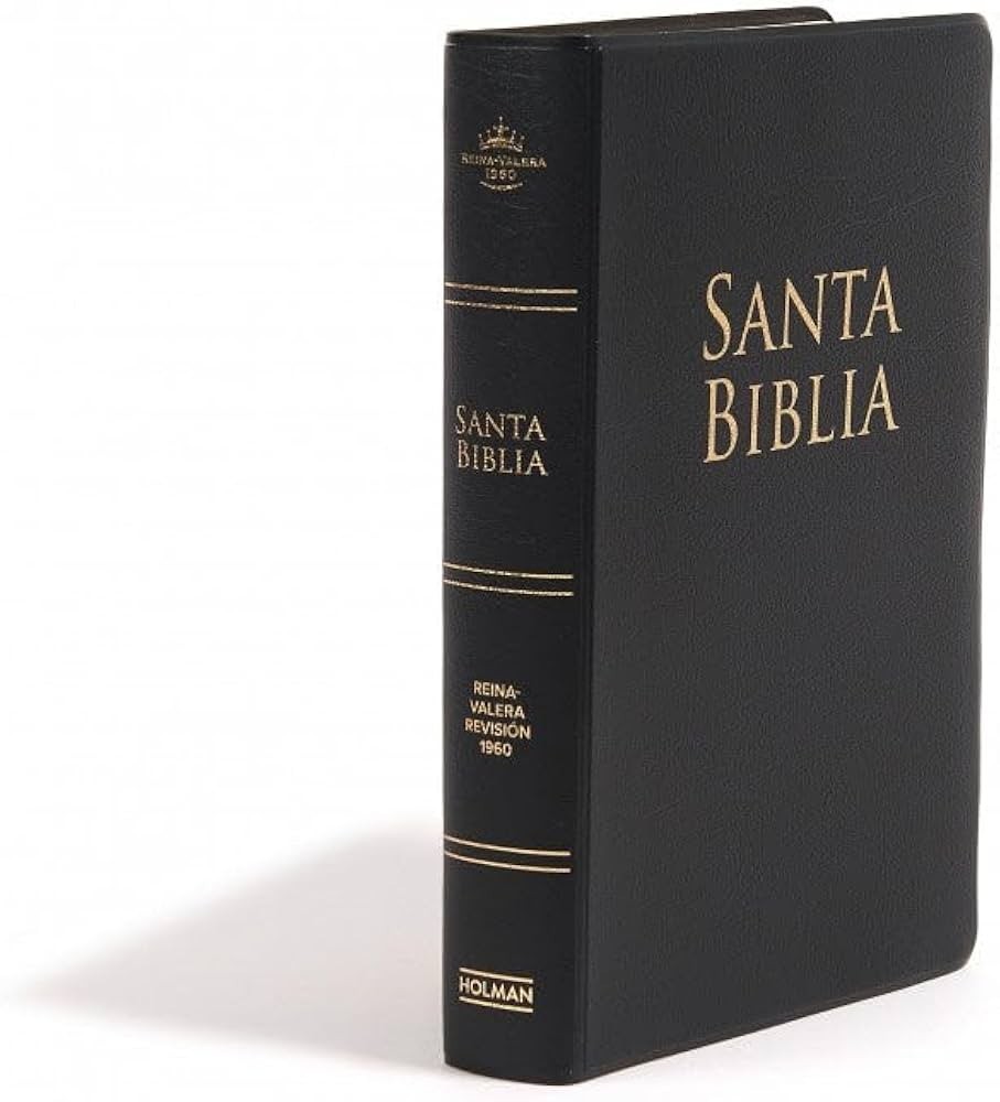 Biblia letra grande tamaño manual reina valera 1960 vinyl letra 12 puntos