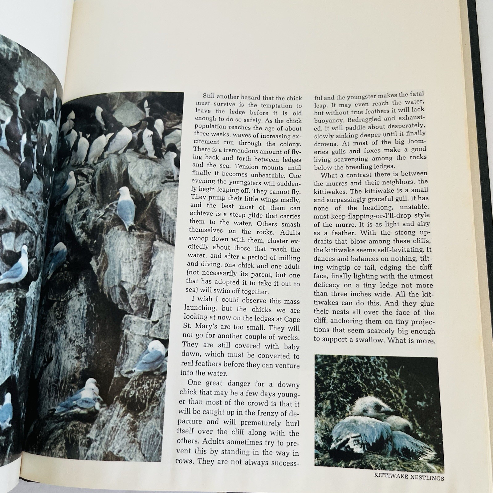 Vintage “The American Wilderness” Time Life Books Collection 1973 Lot of 7
