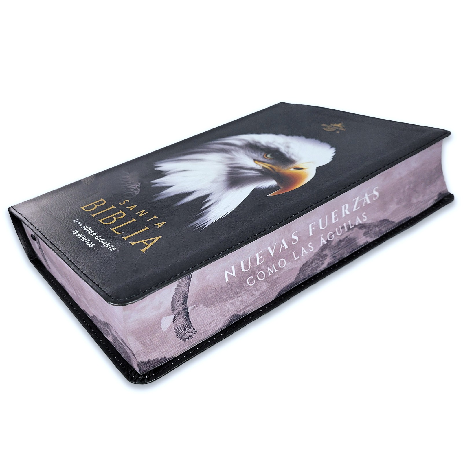 Biblia Letra Super Gigante 19 puntos RV1960 imit piel negro aguila