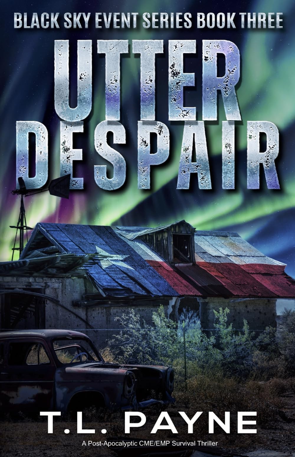 Utter Despair: A Post Apocalyptic CME/EMP Survival Thriller (Black Sky Event…
