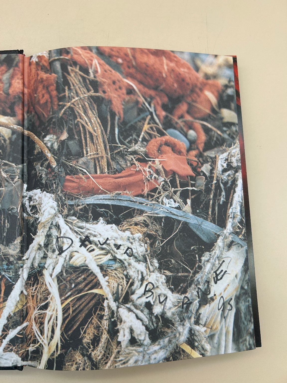 Strange Ritual David Byrne 1997 Signed First Printing Photography Art Book