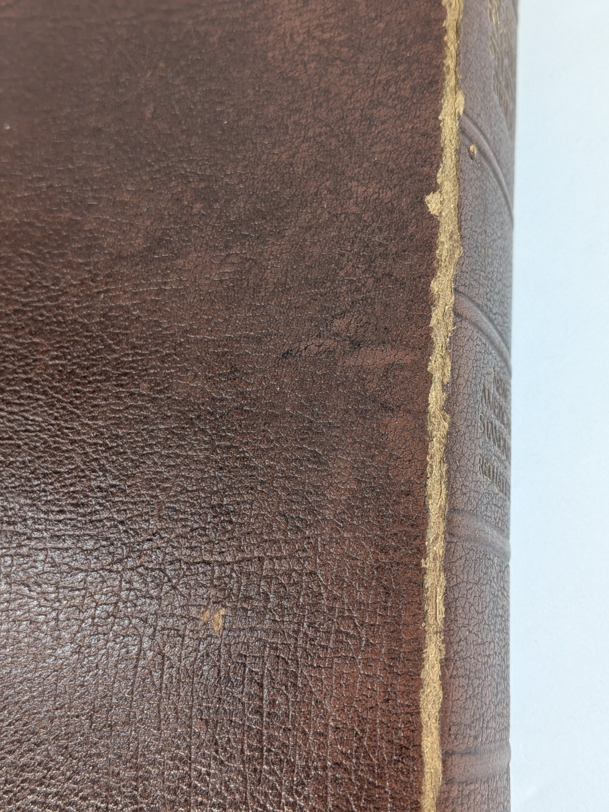 BISON GRAIN!✝️Vntg Ryrie Study Bible NASB 1978 Red Letter Moody Press Tab Index
