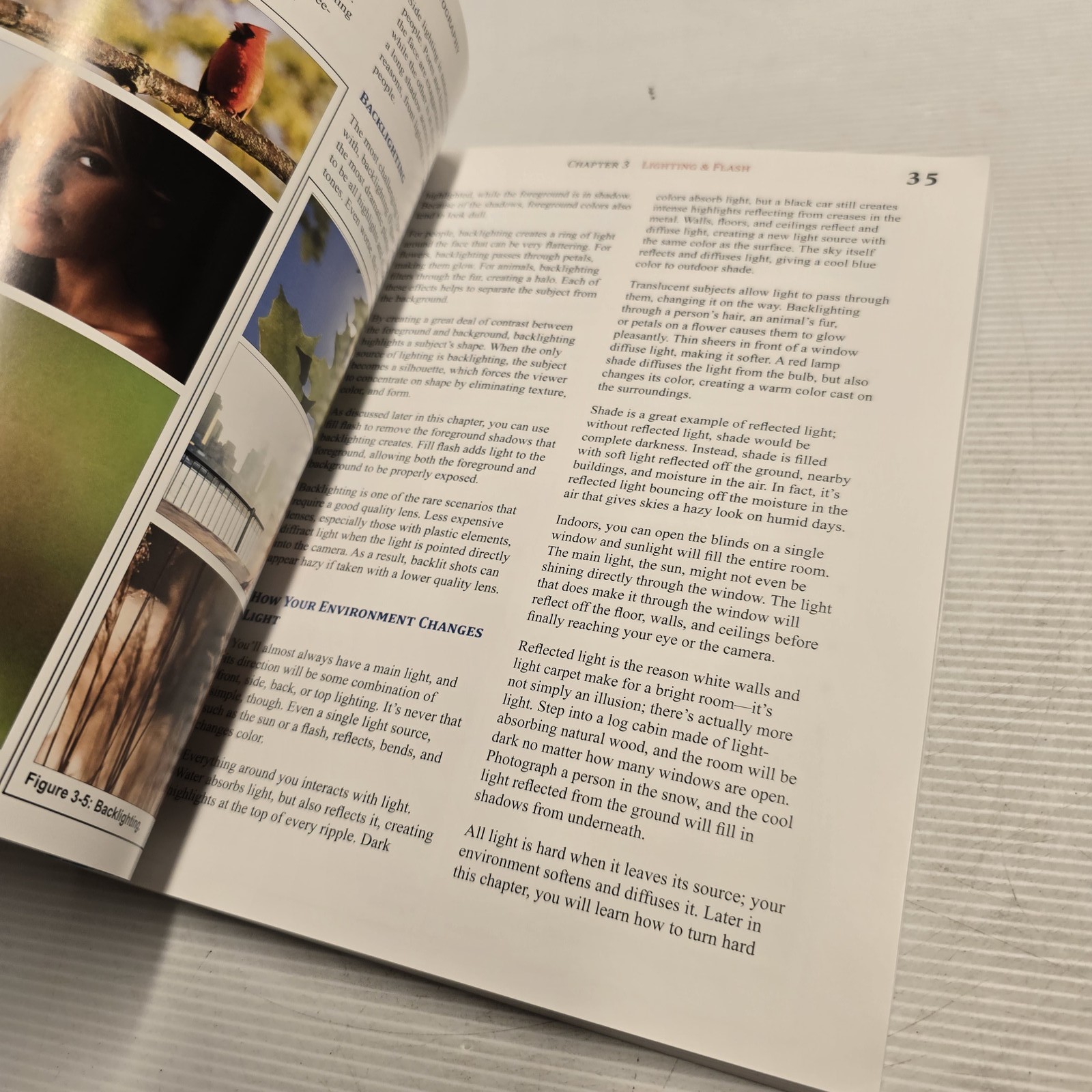 Tony Northrup’s DSLR Book: How to Create Stunning Digital Photography Guide