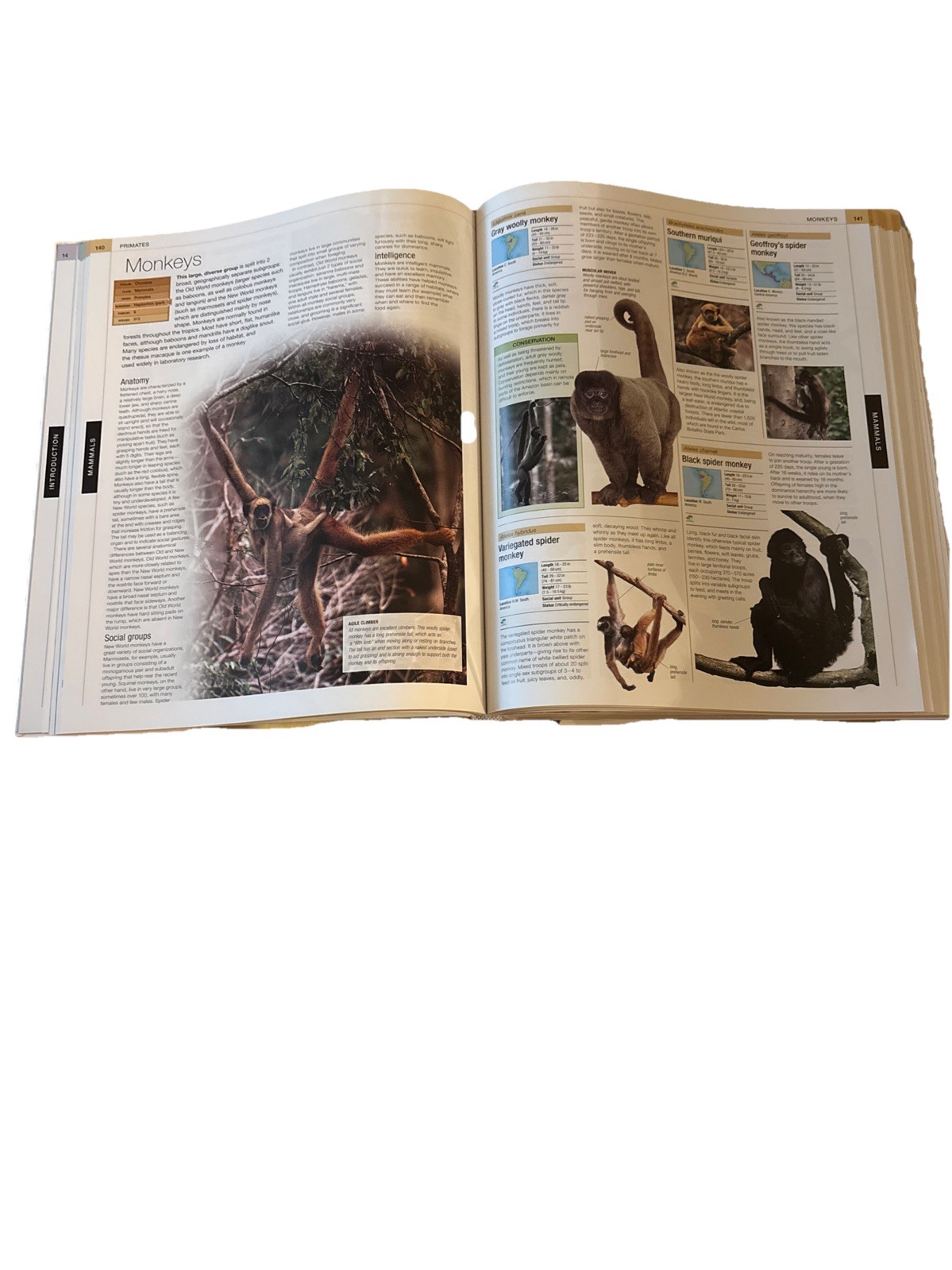 Animal: The Definitive Visual Guide / 632 Pages / Published 2017