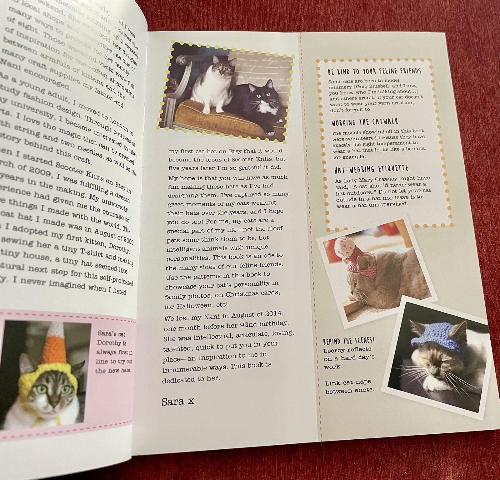 Cats in Hats: 30 Knit & Crochet Patterns for Your Kitty- Sara Thomas EUC PB 2015