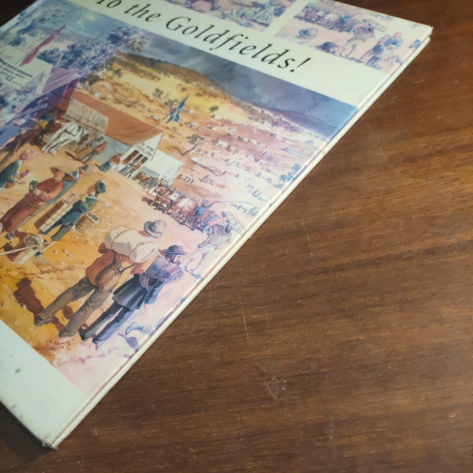 To the Goldfields! By Rachel Tonkin Hardcover Ex Library Illustrated