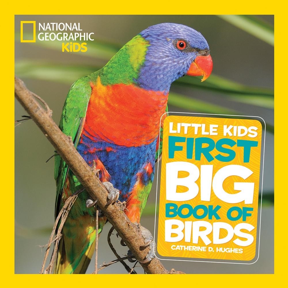 Little Kids First Big Book of Birds by Catherine D. Hughes (English) Hardcover B