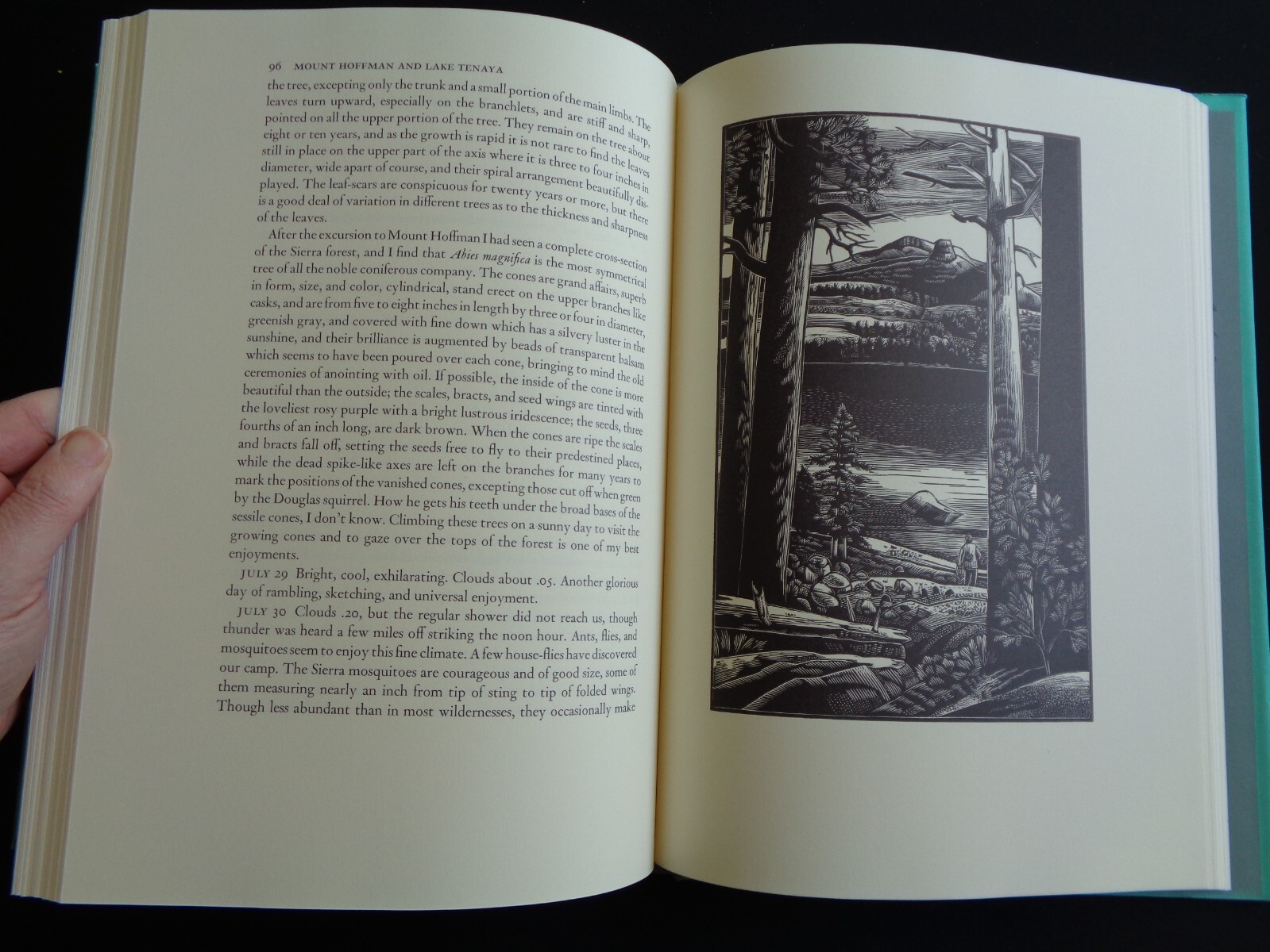 John Muir My First Summer in the Sierra 1988 Wood Engravings by Michael McCurdy