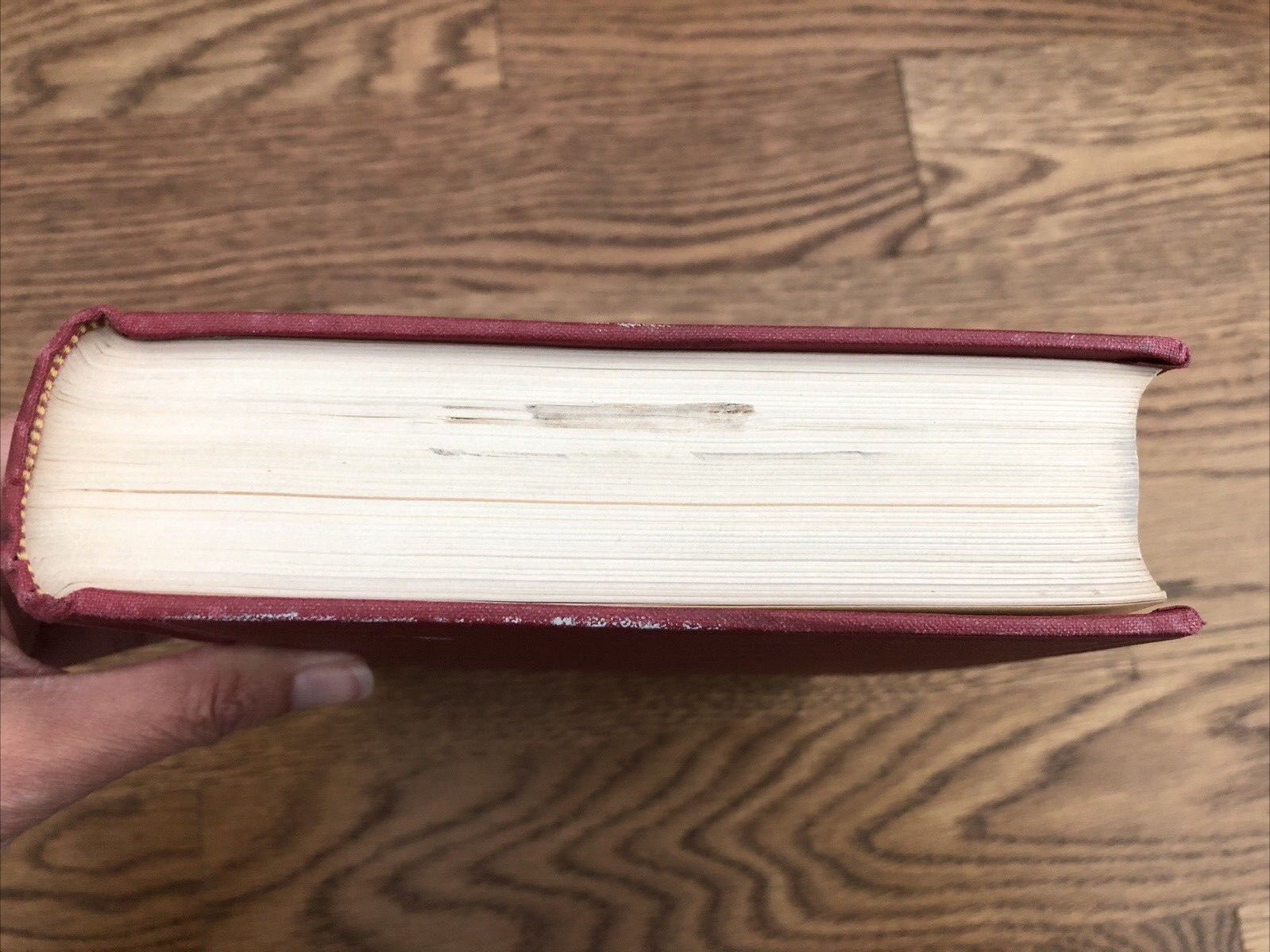 Principles of Orthodontics Salzmann DDS 1943 Illustrated Charts Dentistry HC